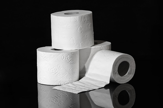 Designoverwegingen voor het toilet in een master suite