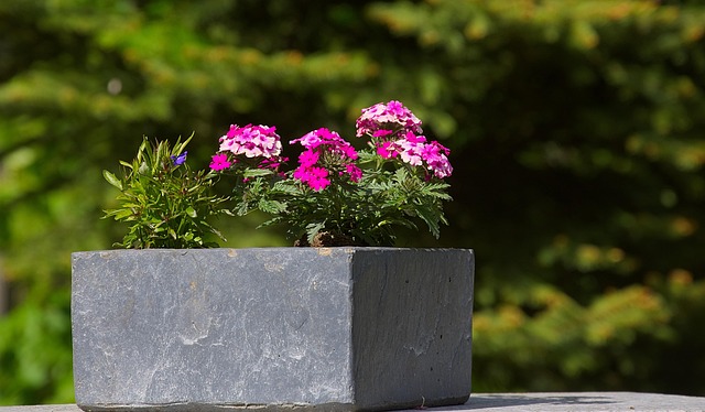Houten plantenbakken met rek: stijl en functionaliteit voor binnen en buiten