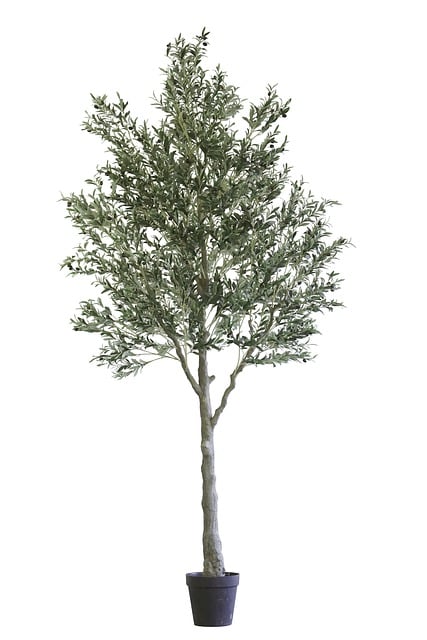 Grote Kunstbomen voor Buiten: Weerbestendige Schoonheid