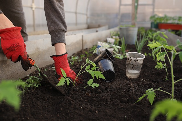 De ideale moestuinbak van 90x90 cm: Tips en voordelen